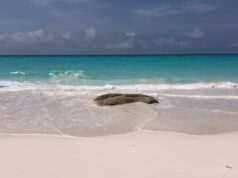 Scenic Look At The South Shore, May 2024