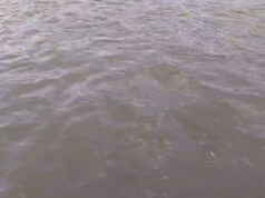 Seine River In Paris After Olympic Triathlon Postponed, July 30 2024