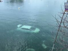 Car Overboard On Harbour Road, Sept 17 2024