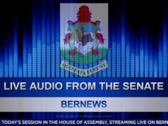 Audio: Senate In Session, November 26 2025