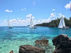 4K HD | ARC Rally Sailboats Leave St. George’s, May 2026