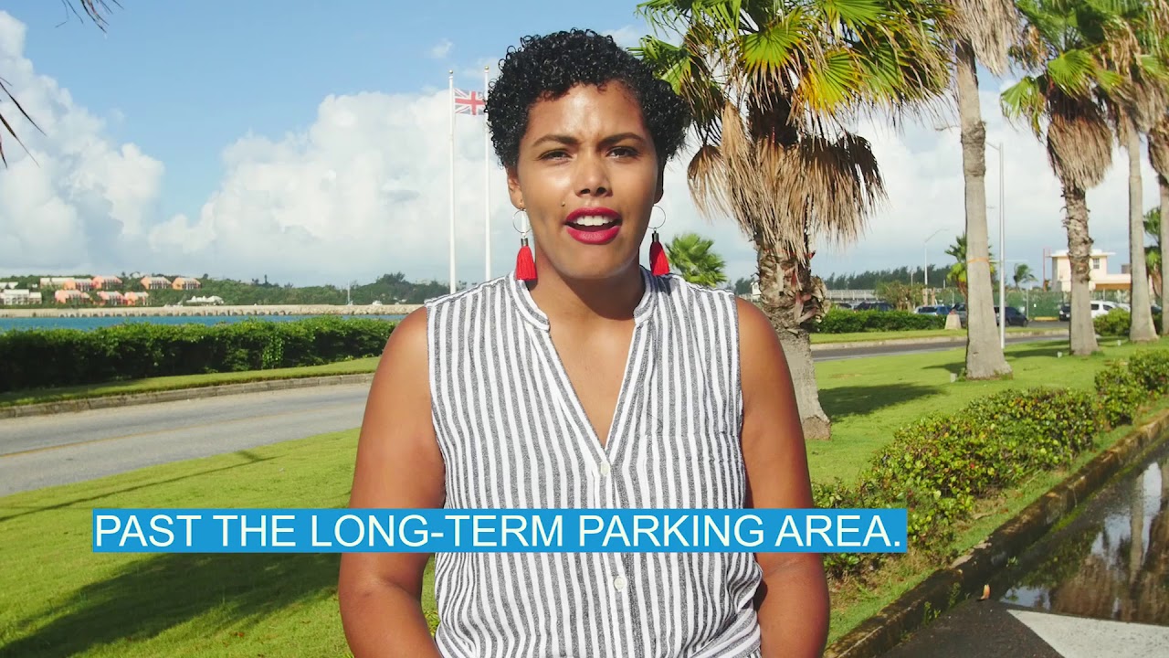 ‘Taking Off’ Highlights Palm Tree Relocation, August 15 2019 Bernews.TV