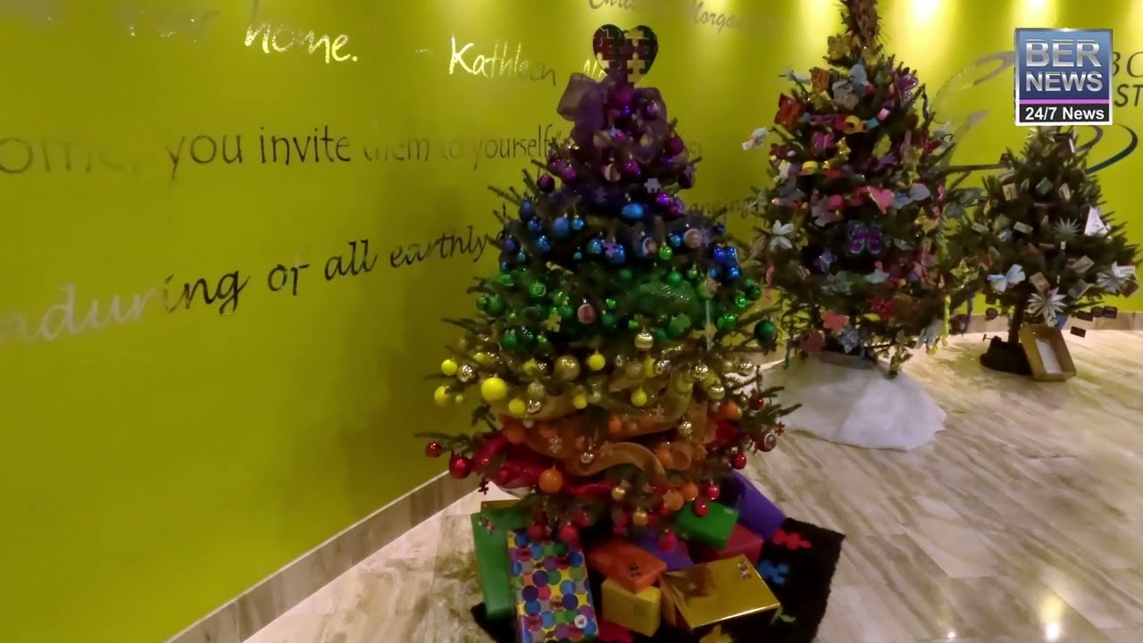 Christmas trees berne ny