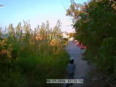 ‘Person Of Interest’ In 2016 Murder Of Jason Mello