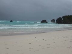 South Shore Weather, February 1 2026