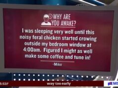 “Mike” On His Feral Chickens On MSNow, April 28 2026