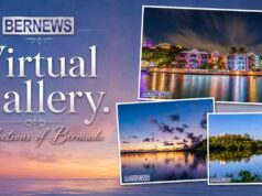 Reflections Of Bermuda Virtual Gallery, June 2026