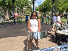 Carnival In Bermuda Pan In The Park, June 14 2026