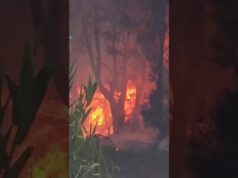 Fire In Dockyard, June 2026