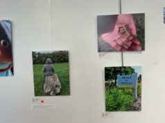 Mindframe Photovoice Exhibition At BSOA, Sept 19 2026